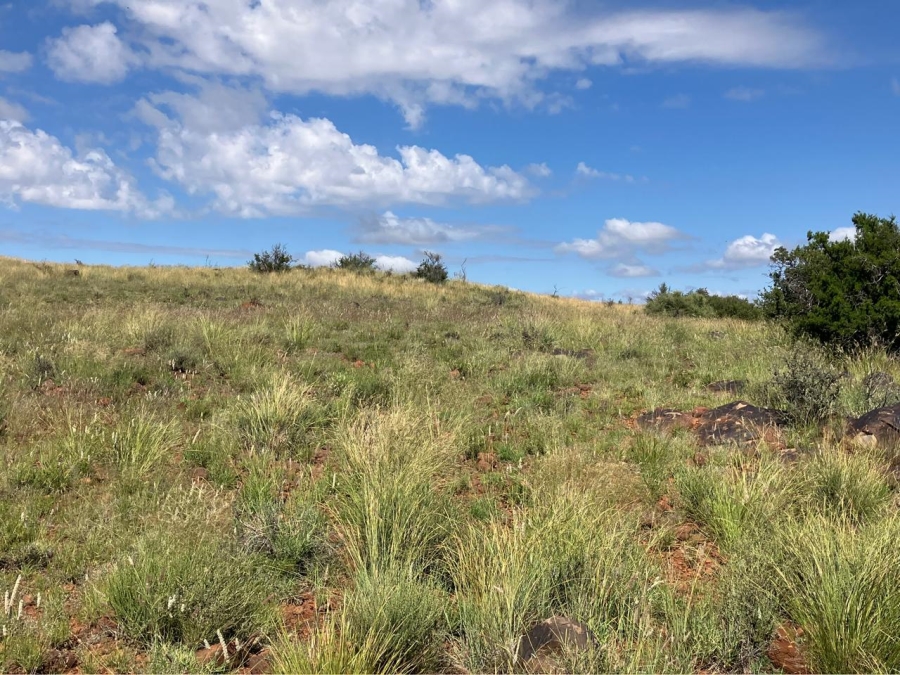 0 Bedroom Property for Sale in Luckhoff Free State